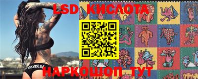 2c-b Новодвинск