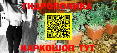 таблы Новозыбков