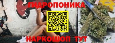 таблы Новозыбков